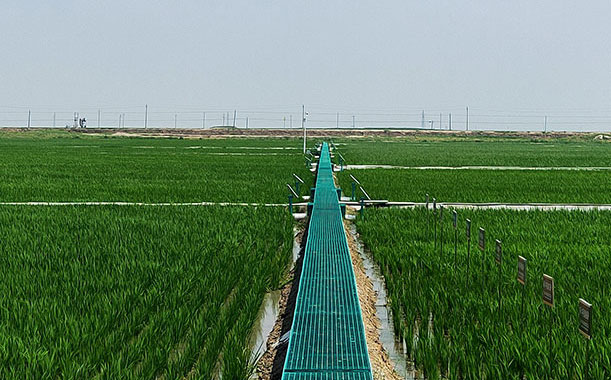 雙層玻璃杯-雙層玻璃杯視頻-雙層玻璃杯子視頻介紹